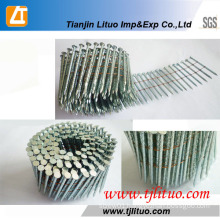Cheap Pallet Coil Nails Clavos with Good Price